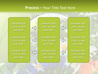 Alternative Forschung Naturheilkunde PowerPoint Template