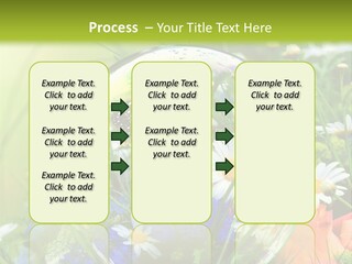 Alternative Forschung Naturheilkunde PowerPoint Template