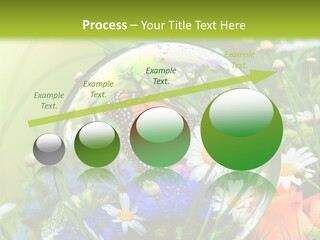 Alternative Forschung Naturheilkunde PowerPoint Template