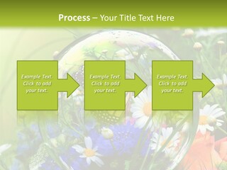 Alternative Forschung Naturheilkunde PowerPoint Template