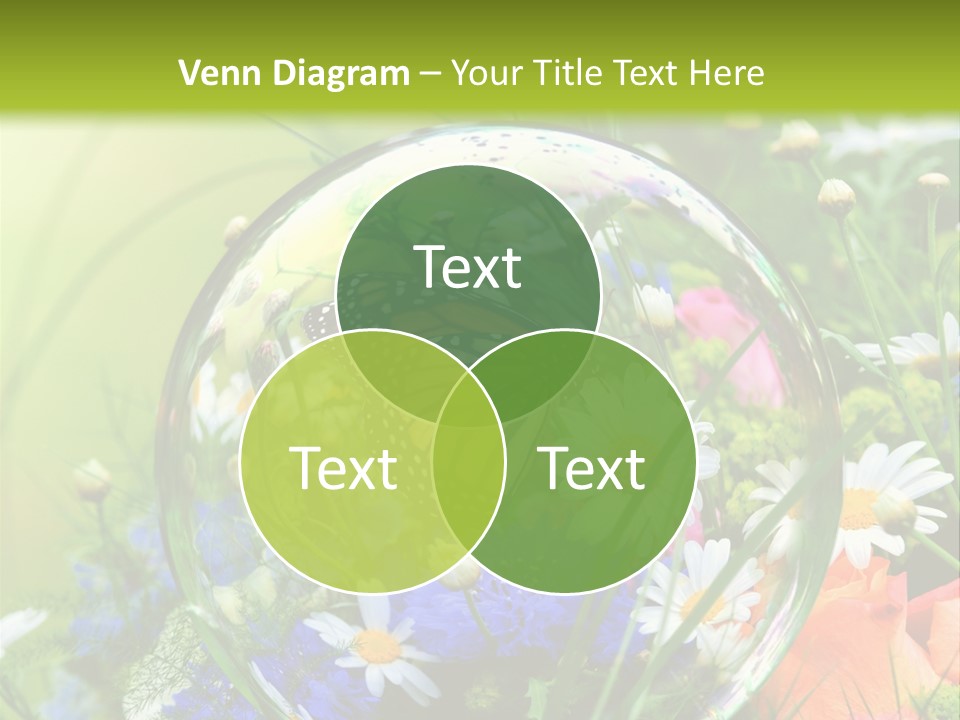 Alternative Forschung Naturheilkunde PowerPoint Template