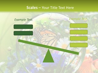 Alternative Forschung Naturheilkunde PowerPoint Template