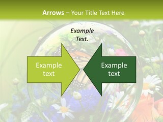 Alternative Forschung Naturheilkunde PowerPoint Template