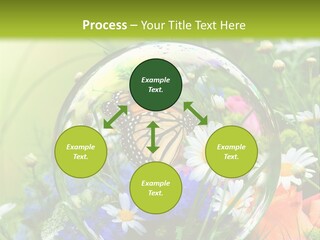 Alternative Forschung Naturheilkunde PowerPoint Template