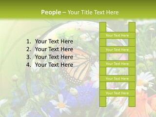 Alternative Forschung Naturheilkunde PowerPoint Template