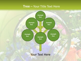 Alternative Forschung Naturheilkunde PowerPoint Template