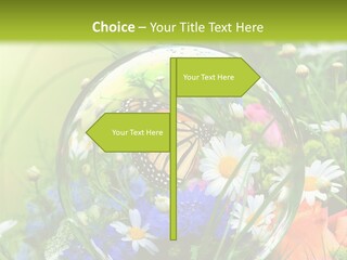 Alternative Forschung Naturheilkunde PowerPoint Template