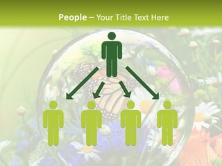 Alternative Forschung Naturheilkunde PowerPoint Template