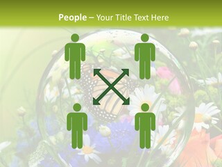 Alternative Forschung Naturheilkunde PowerPoint Template