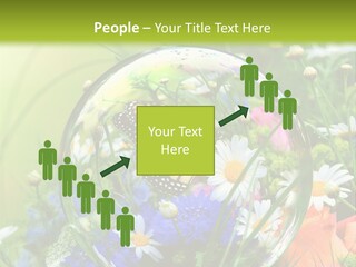 Alternative Forschung Naturheilkunde PowerPoint Template