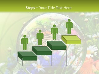 Alternative Forschung Naturheilkunde PowerPoint Template