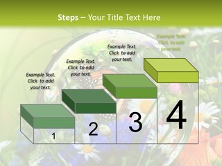 Alternative Forschung Naturheilkunde PowerPoint Template