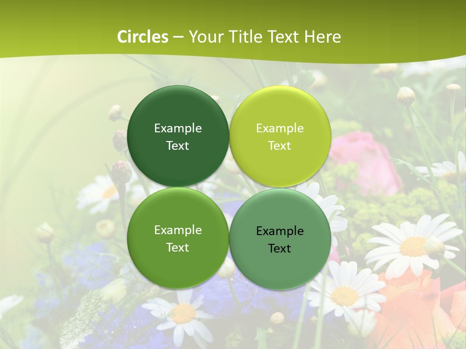 Heilung Hom Heilen PowerPoint Template