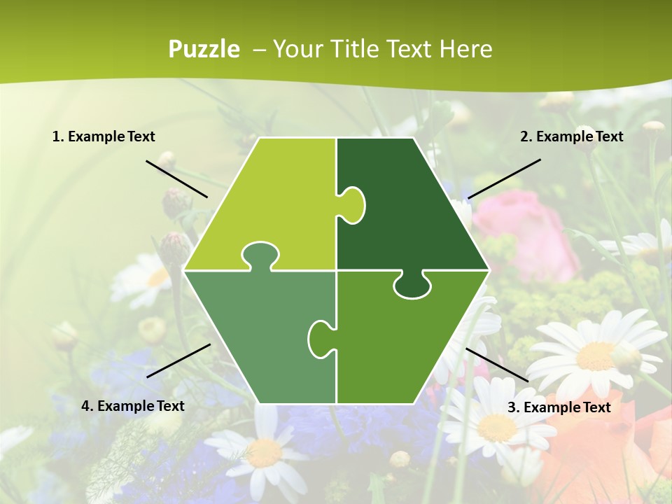 Heilung Hom Heilen PowerPoint Template