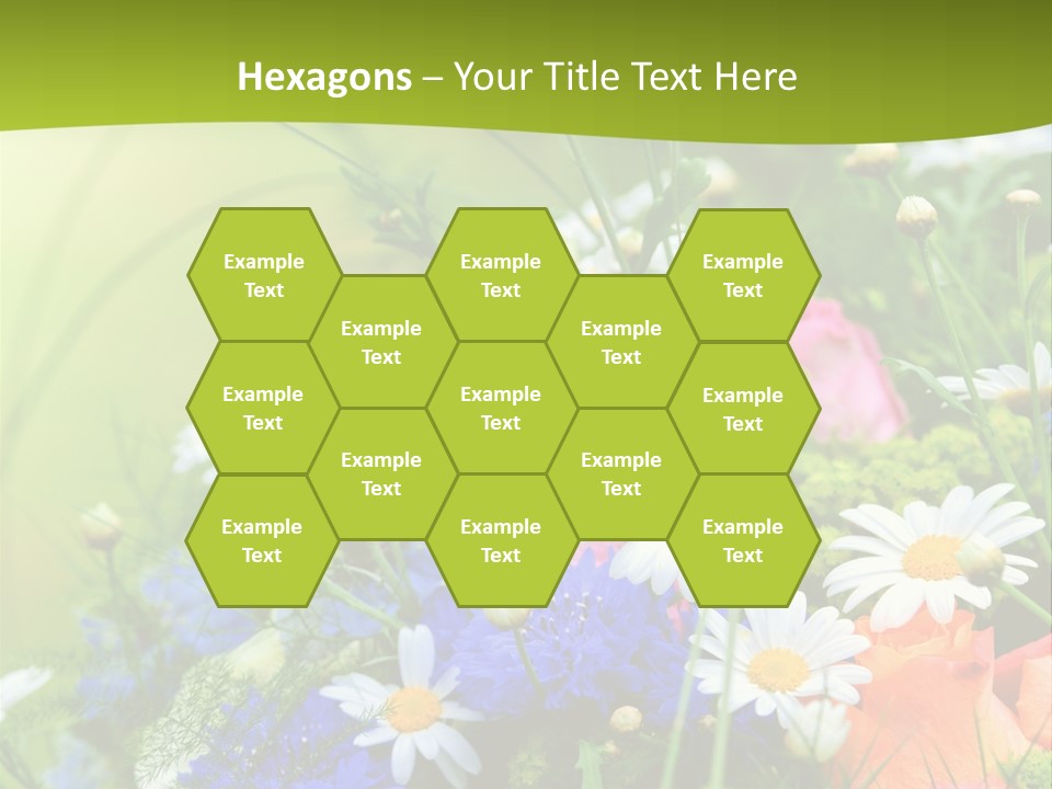 Heilung Hom Heilen PowerPoint Template