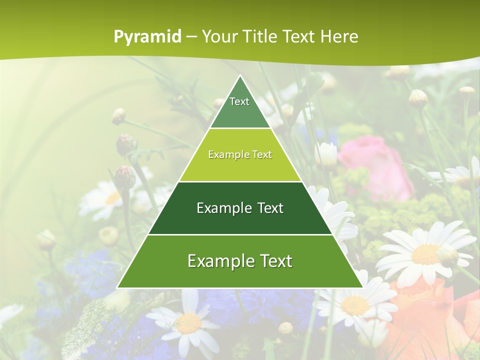 Heilung Hom Heilen PowerPoint Template