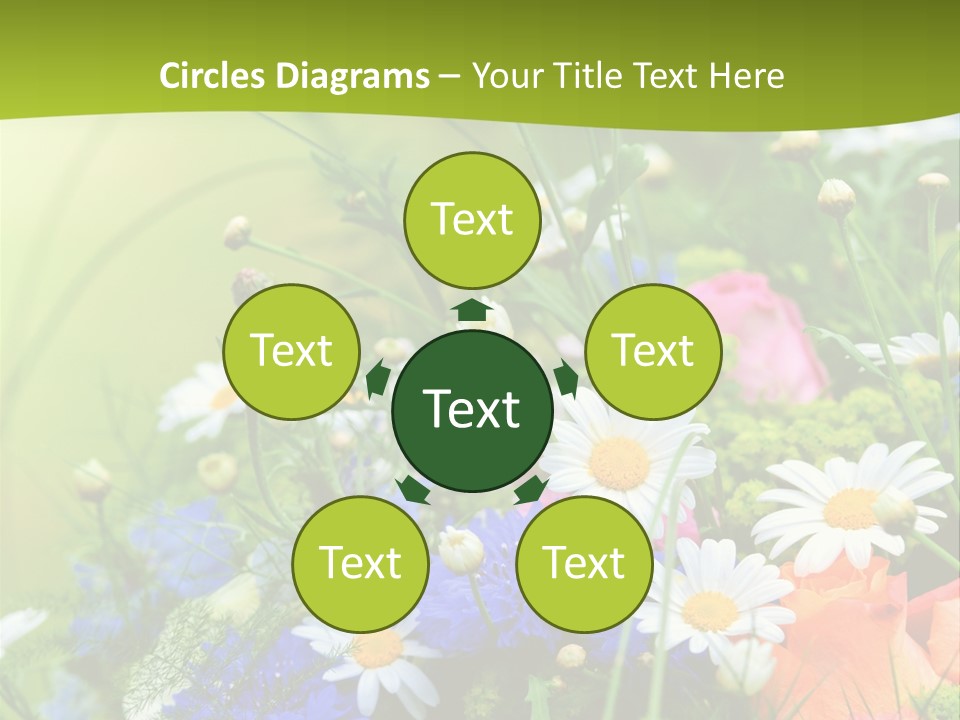 Heilung Hom Heilen PowerPoint Template