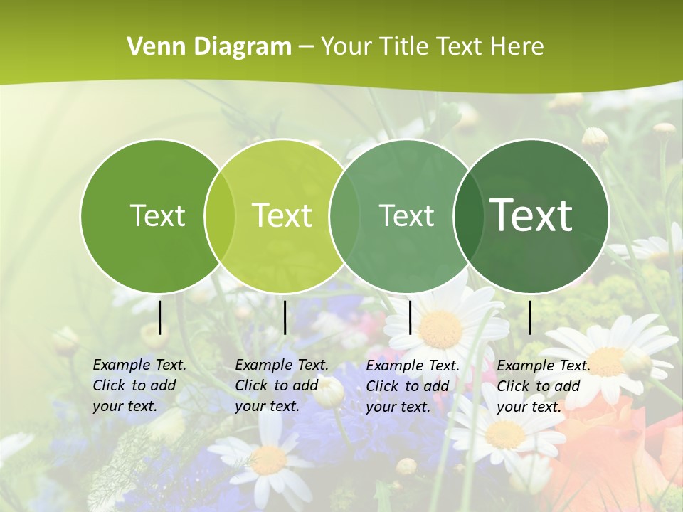 Heilung Hom Heilen PowerPoint Template