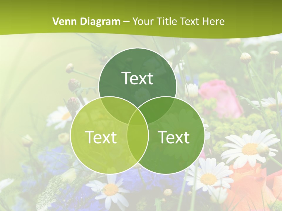 Heilung Hom Heilen PowerPoint Template