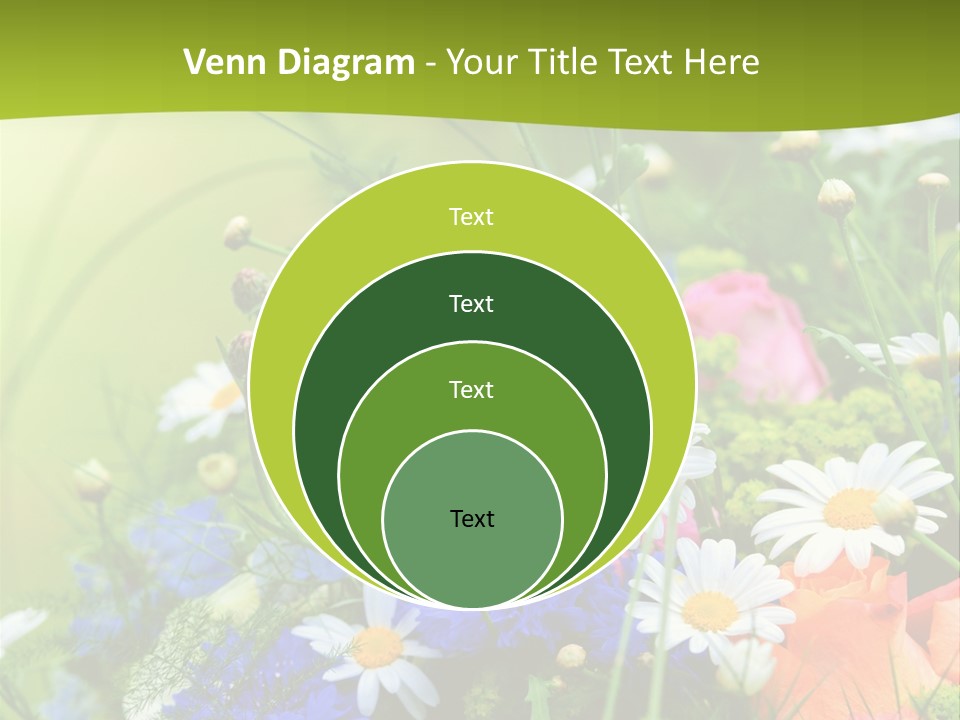 Heilung Hom Heilen PowerPoint Template