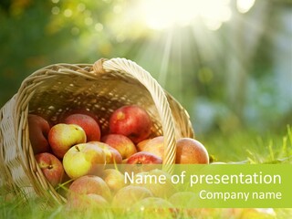 Sunlight Crop Bunch PowerPoint Template