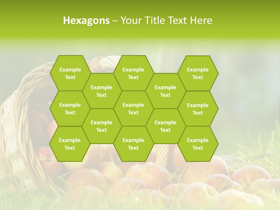 Sunlight Crop Bunch PowerPoint Template