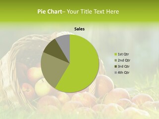 Sunlight Crop Bunch PowerPoint Template