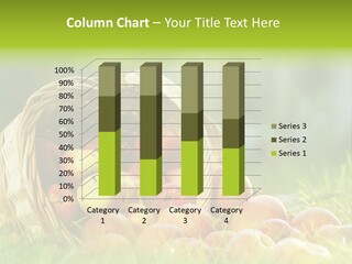 Sunlight Crop Bunch PowerPoint Template