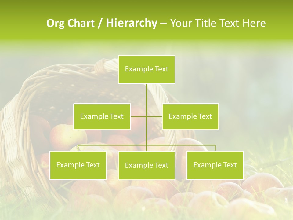 Sunlight Crop Bunch PowerPoint Template