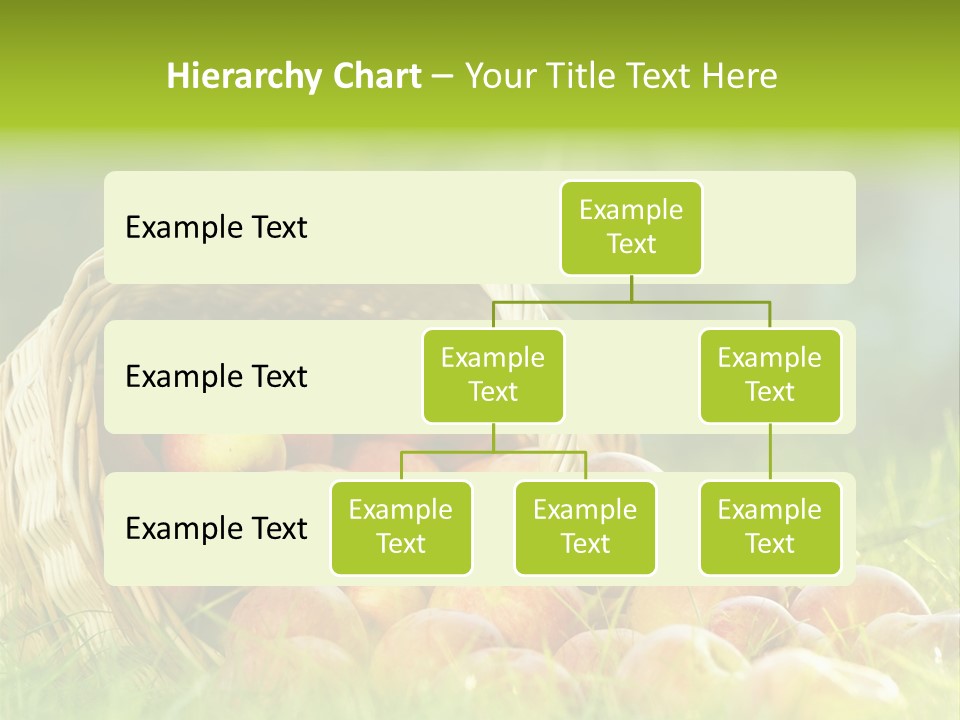 Sunlight Crop Bunch PowerPoint Template