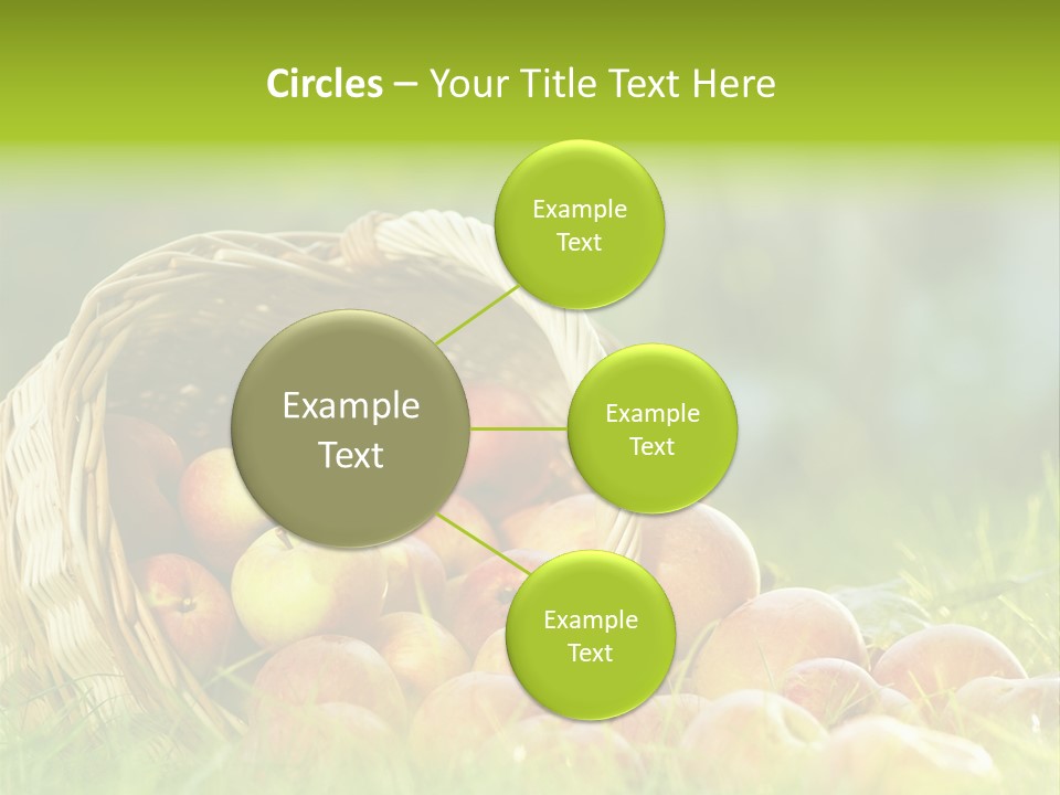 Sunlight Crop Bunch PowerPoint Template