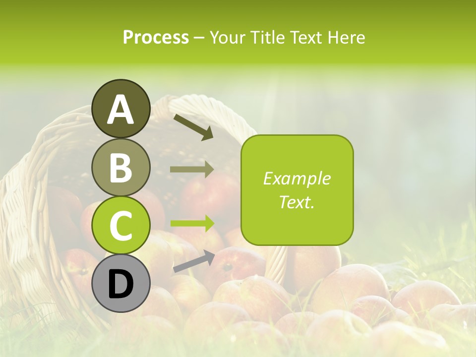 Sunlight Crop Bunch PowerPoint Template