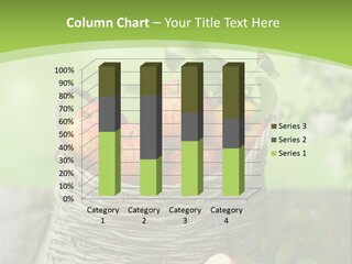 Herbstlich Apfelbaum Erntezeit PowerPoint Template