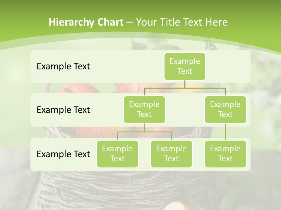 Herbstlich Apfelbaum Erntezeit PowerPoint Template