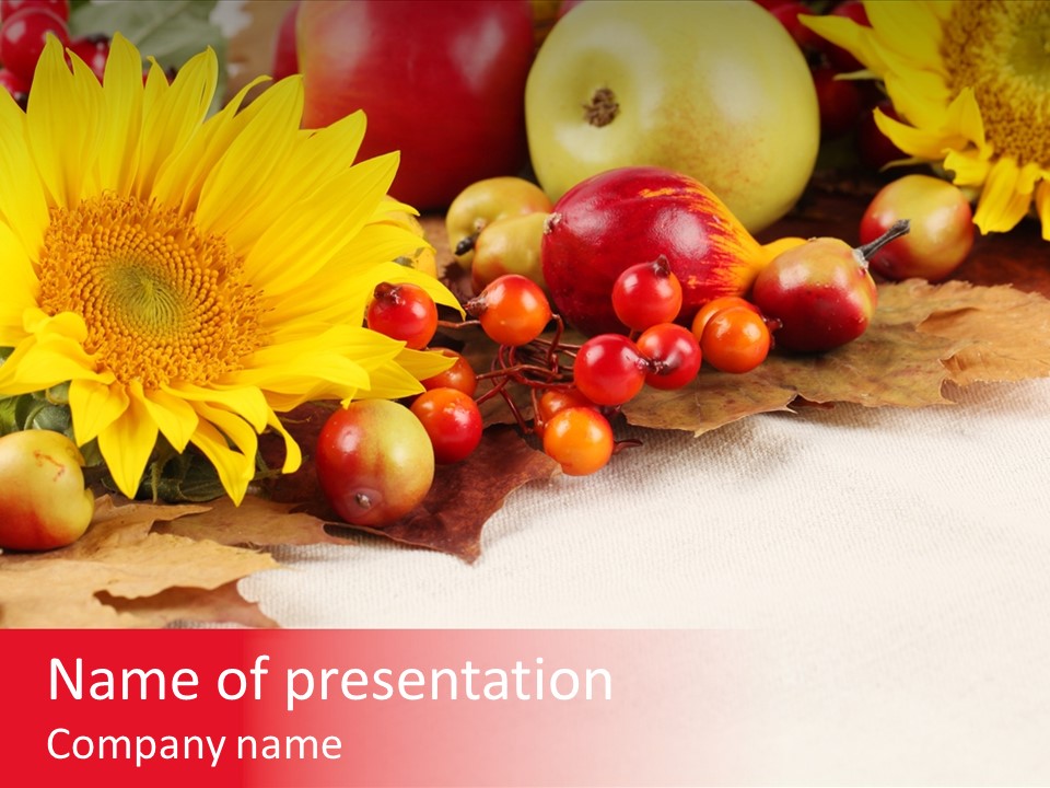 Berry Squash Autumn PowerPoint Template