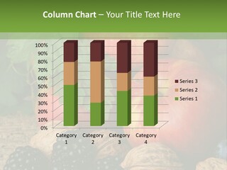 Berry Fresh Walnuts PowerPoint Template