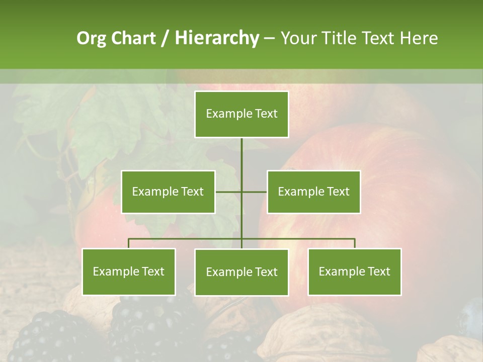 Berry Fresh Walnuts PowerPoint Template