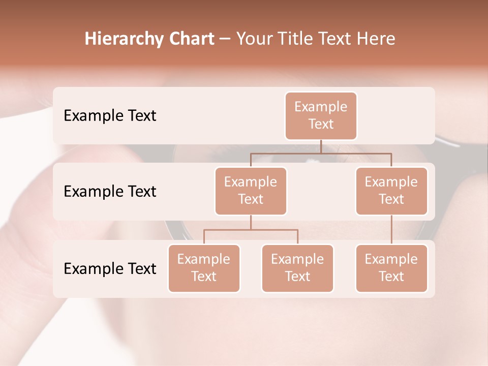Optometrist Macro Frame PowerPoint Template