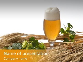 Getr Barley Hopfengarden PowerPoint Template