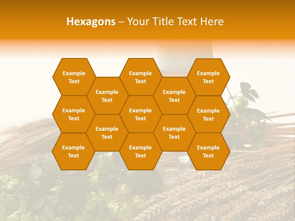 Getr Barley Hopfengarden PowerPoint Template