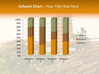 Getr Barley Hopfengarden PowerPoint Template