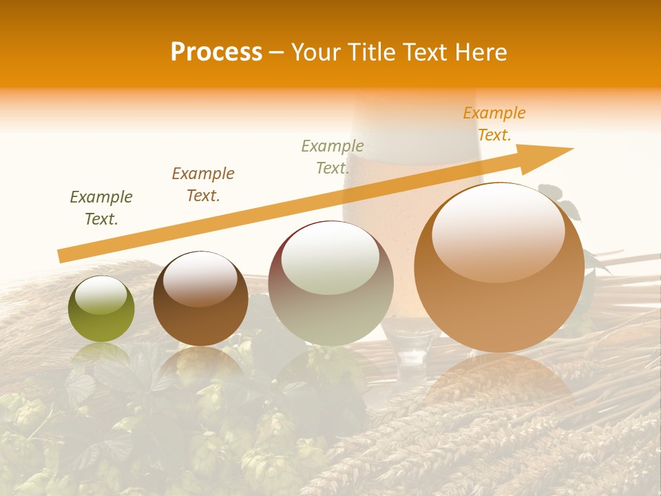 Getr Barley Hopfengarden PowerPoint Template
