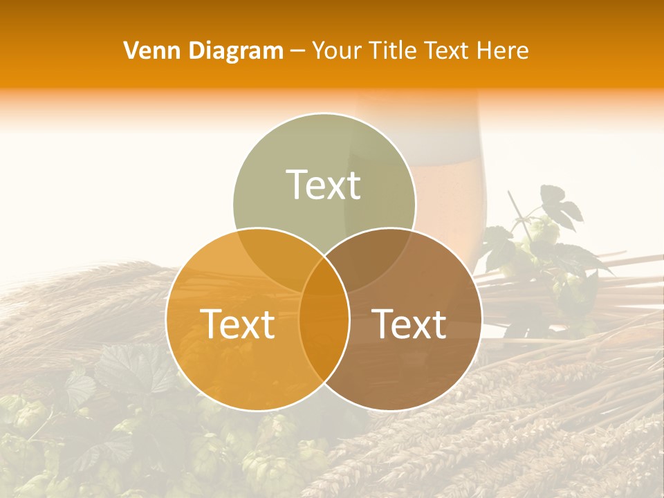 Getr Barley Hopfengarden PowerPoint Template