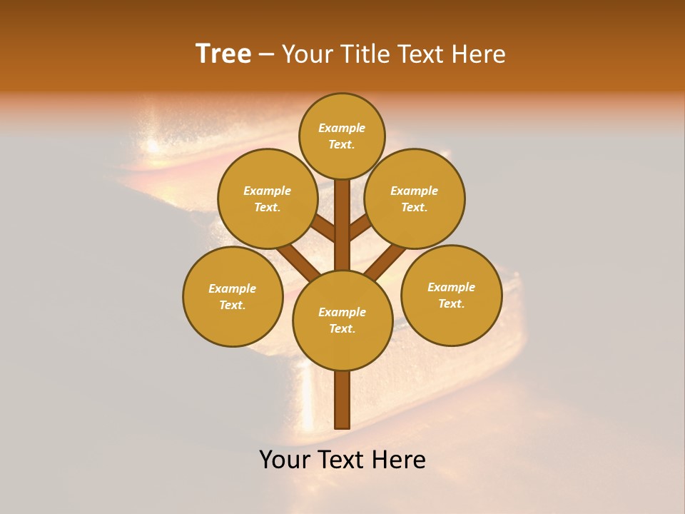 Closeup Macro Treasure PowerPoint Template