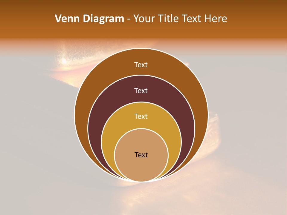 Closeup Macro Treasure PowerPoint Template