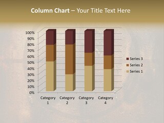 Aging Weathered Aged PowerPoint Template