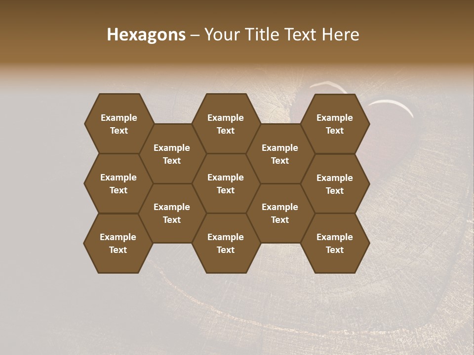 Years Nature Sun PowerPoint Template