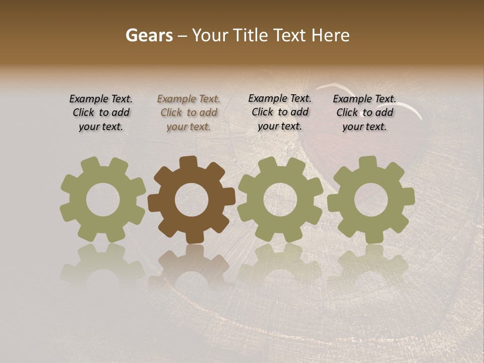 Years Nature Sun PowerPoint Template