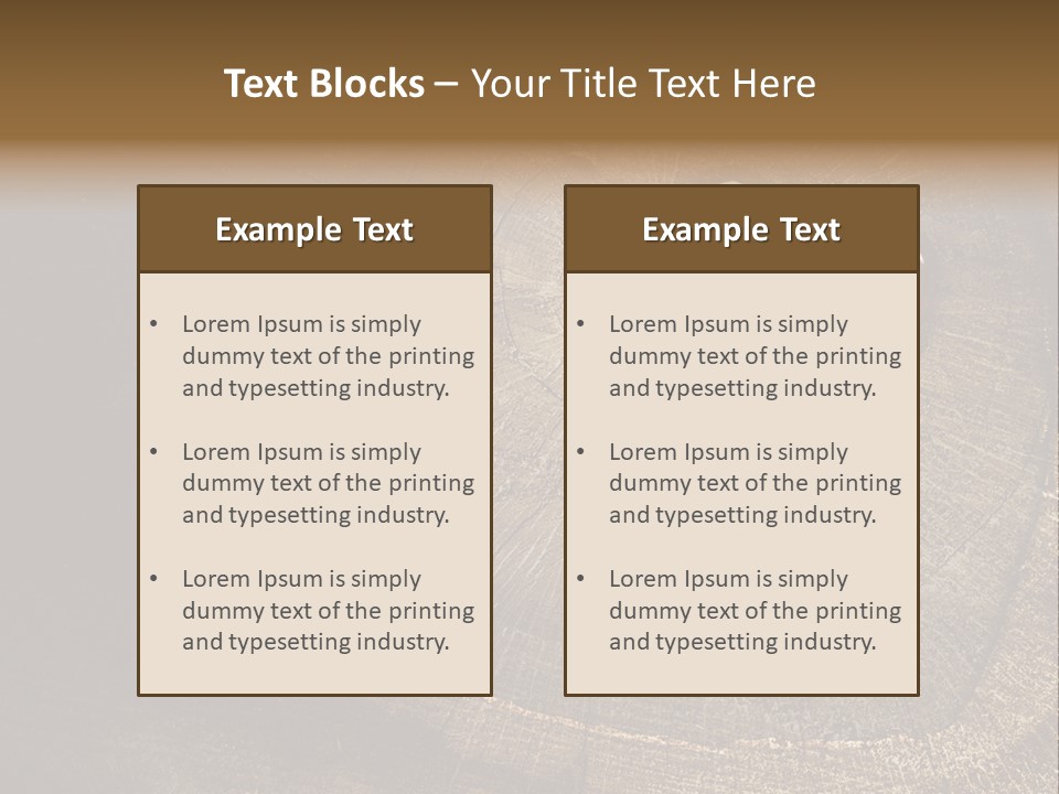 Years Nature Sun PowerPoint Template