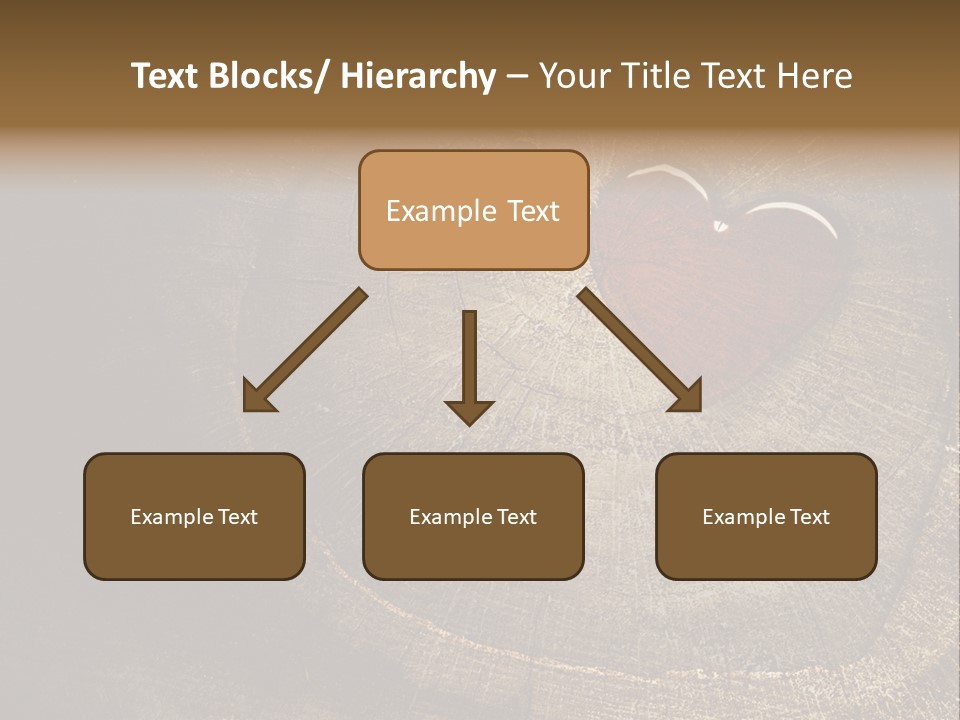 Years Nature Sun PowerPoint Template